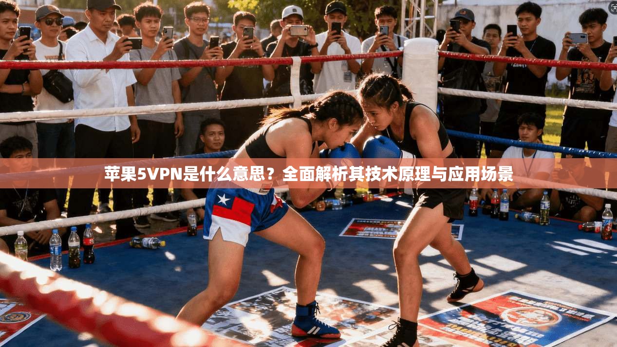 苹果5VPN是什么意思？全面解析其技术原理与应用场景