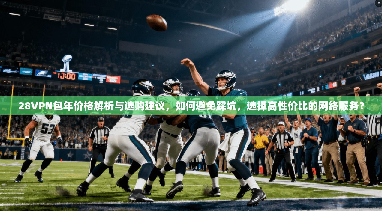 28VPN包年价格解析与选购建议，如何避免踩坑，选择高性价比的网络服务？