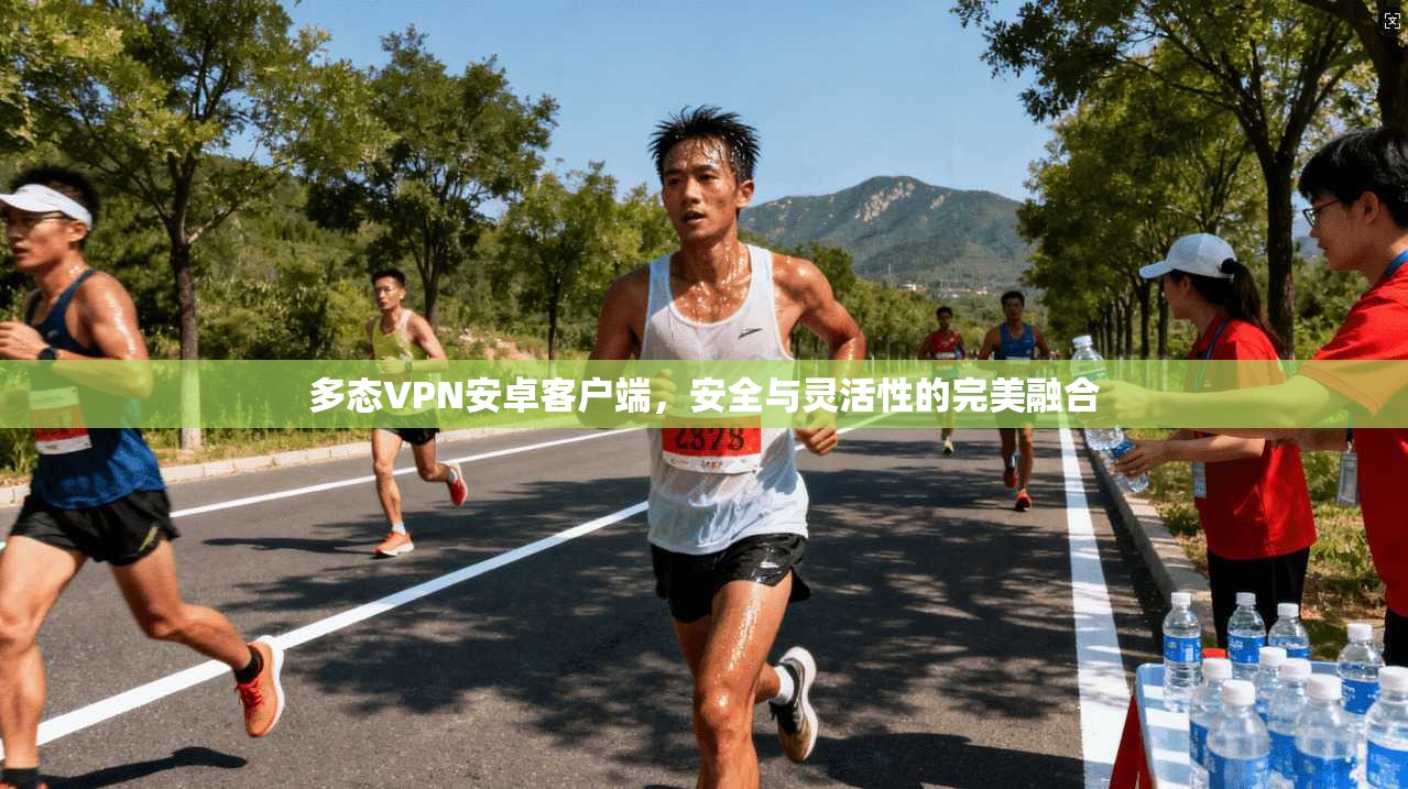 多态VPN安卓客户端，安全与灵活性的完美融合