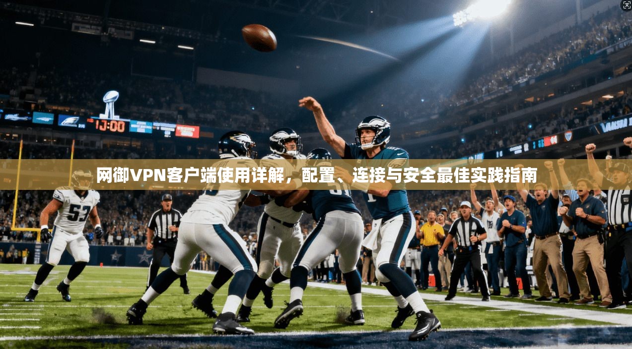 网御VPN客户端使用详解，配置、连接与安全最佳实践指南
