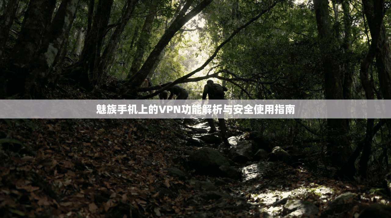魅族手机上的VPN功能解析与安全使用指南