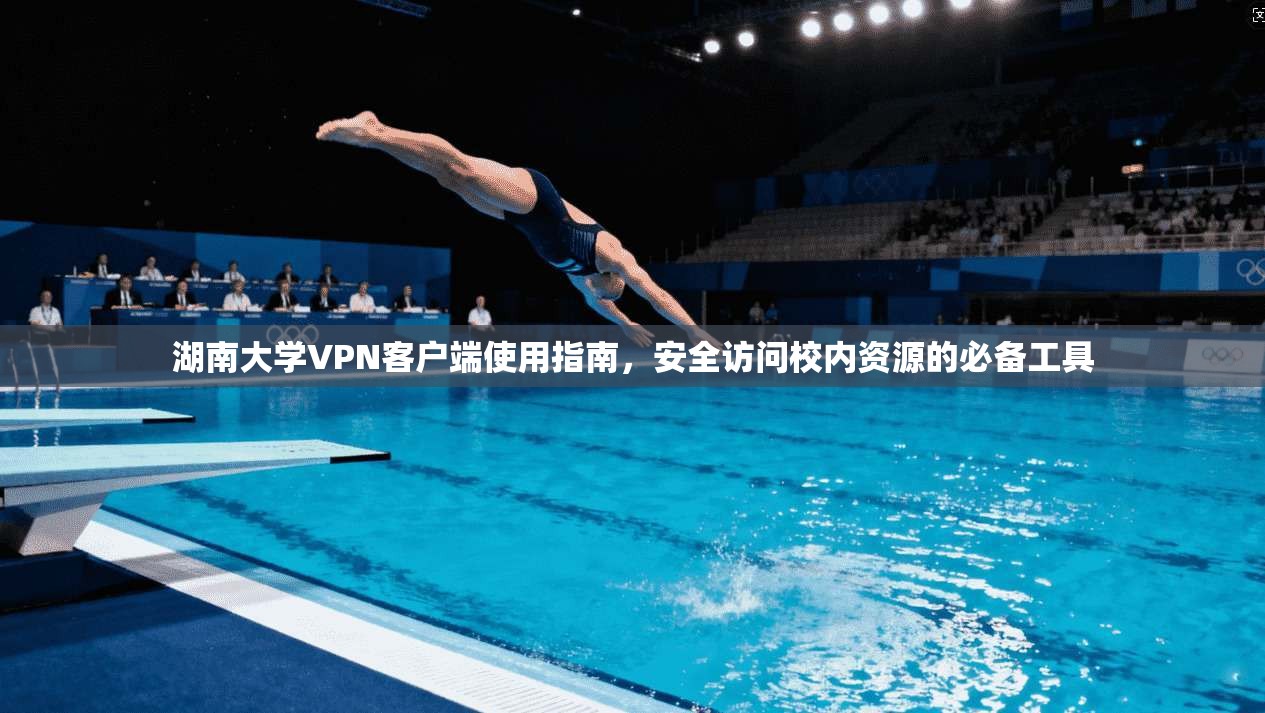 湖南大学VPN客户端使用指南,安全访问校内资源的必备工具