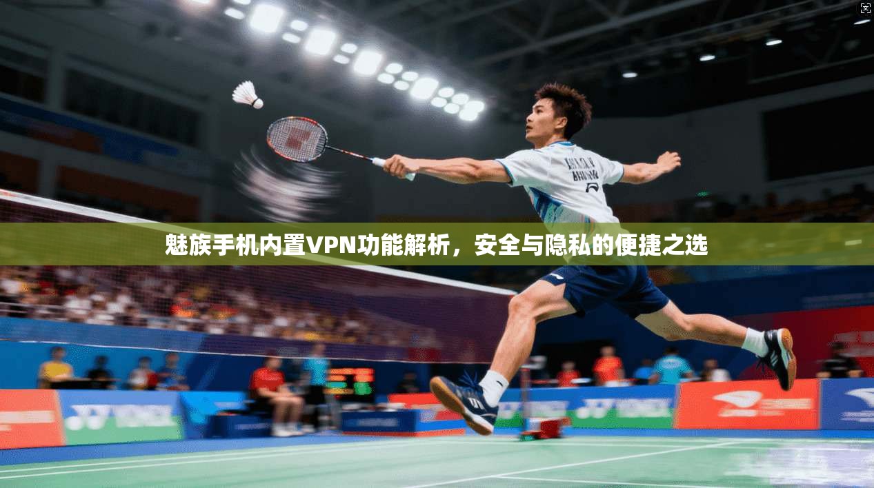 魅族手机内置VPN功能解析，安全与隐私的便捷之选