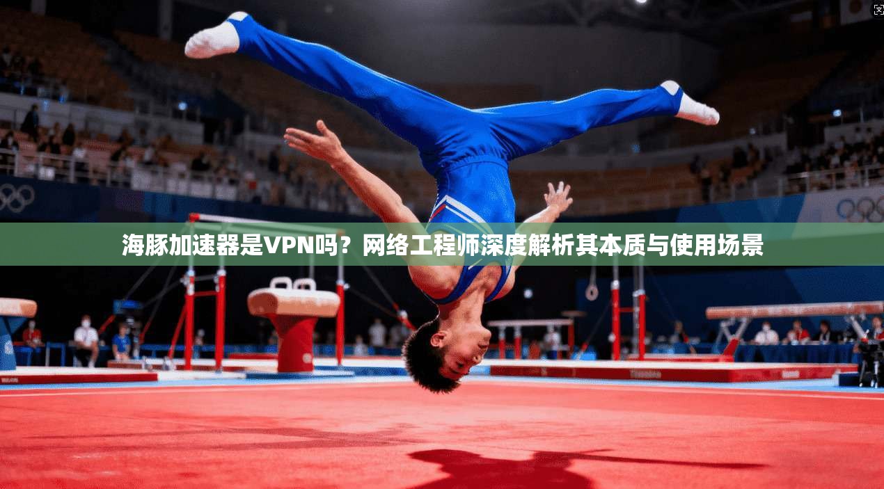 海豚加速器是VPN吗？网络工程师深度解析其本质与使用场景