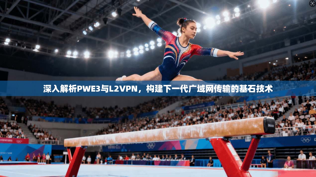 深入解析PWE3与L2VPN，构建下一代广域网传输的基石技术