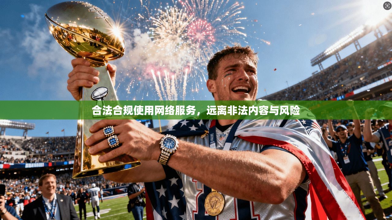 合法合规使用网络服务，远离非法内容与风险