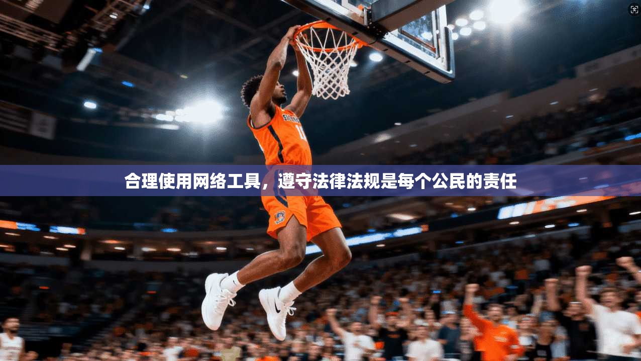 合理使用网络工具,遵守法律法规是每个公民的责任