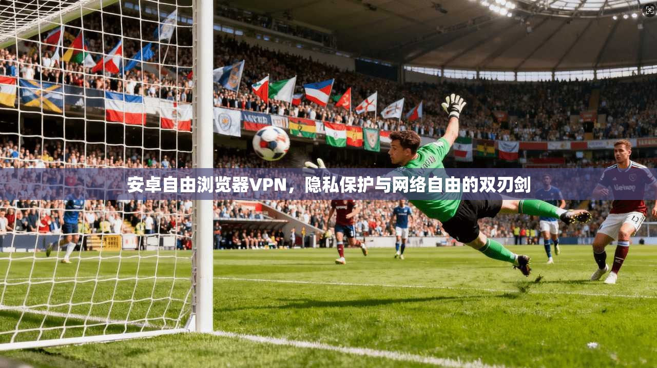 安卓自由浏览器VPN,隐私保护与网络自由的双刃剑