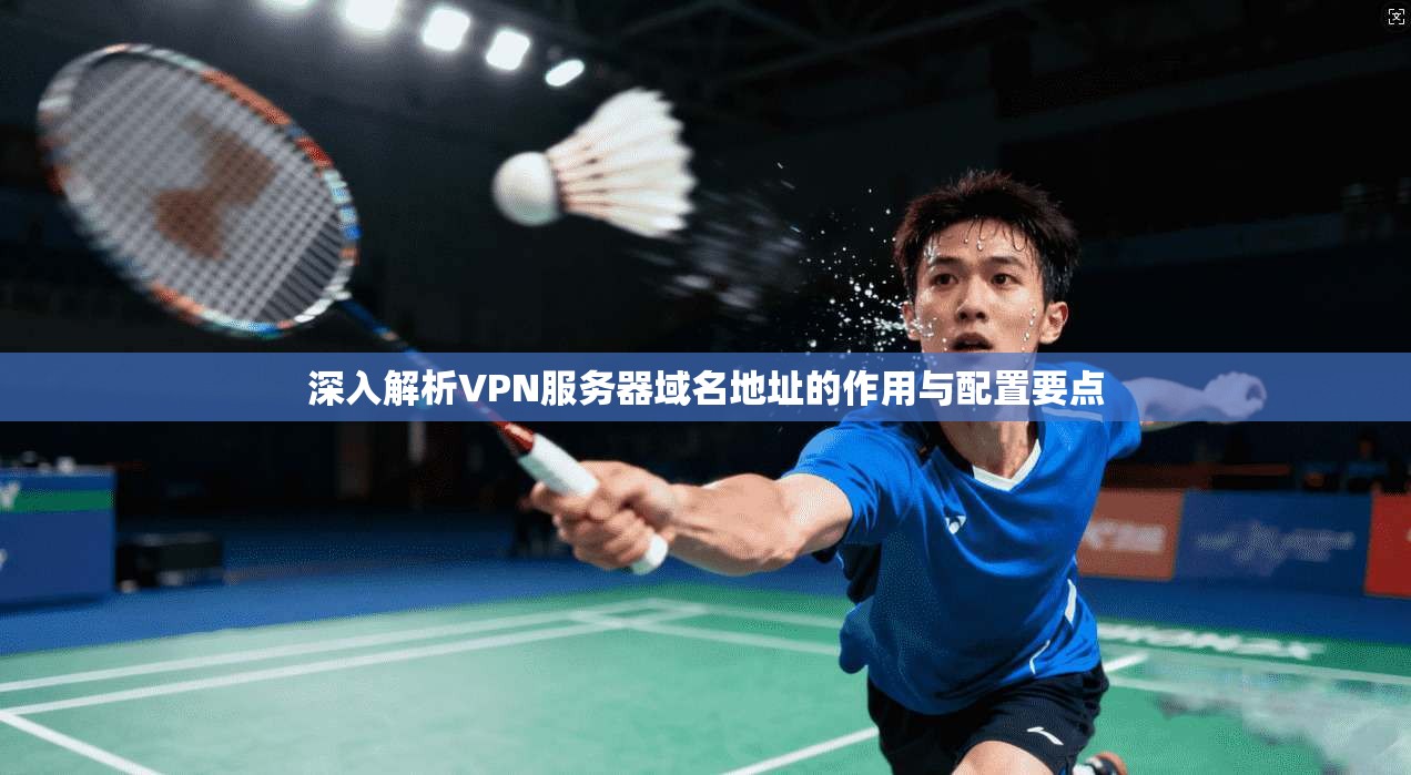 深入解析VPN服务器域名地址的作用与配置要点