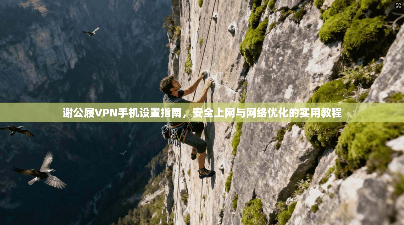 谢公屐VPN手机设置指南，安全上网与网络优化的实用教程