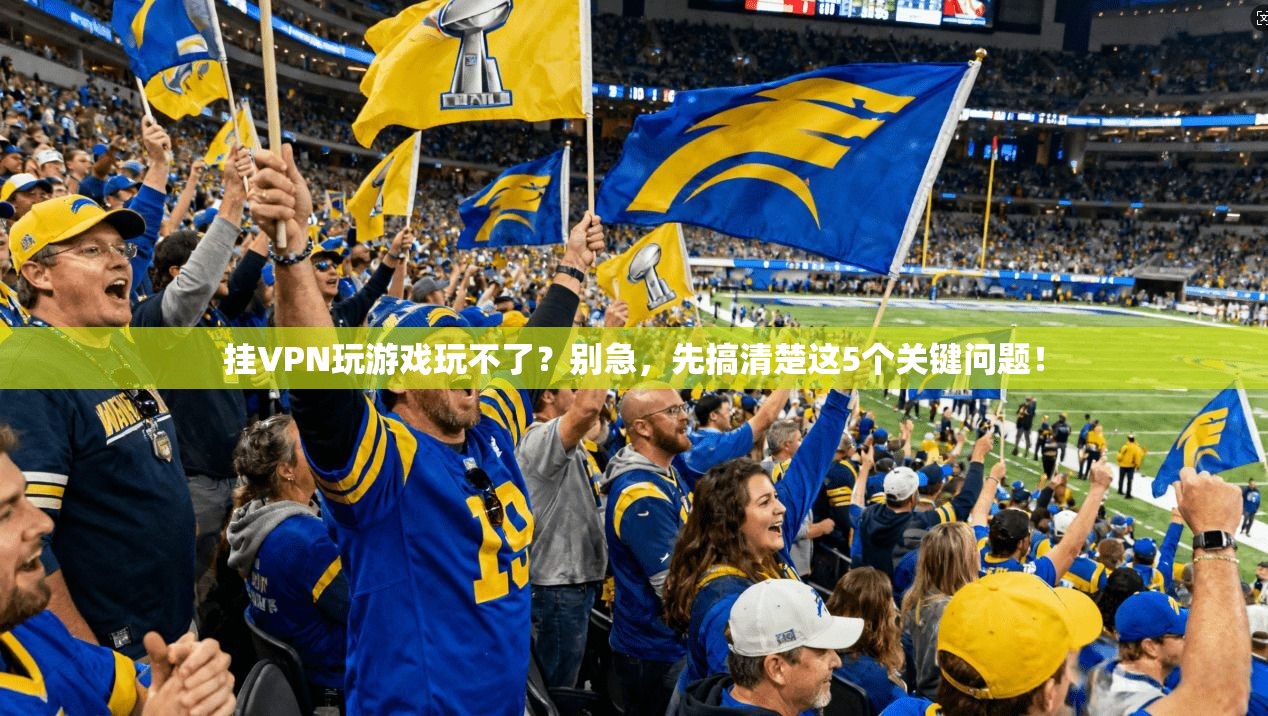 挂VPN玩游戏玩不了？别急，先搞清楚这5个关键问题！