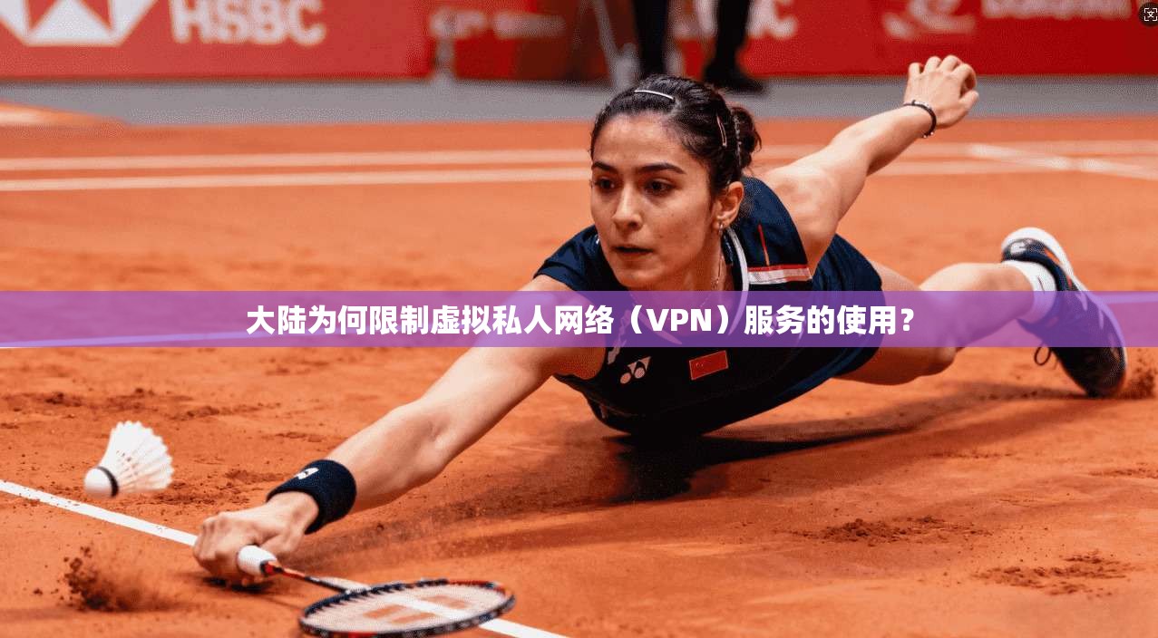 大陆为何限制虚拟私人网络(VPN)服务的使用?