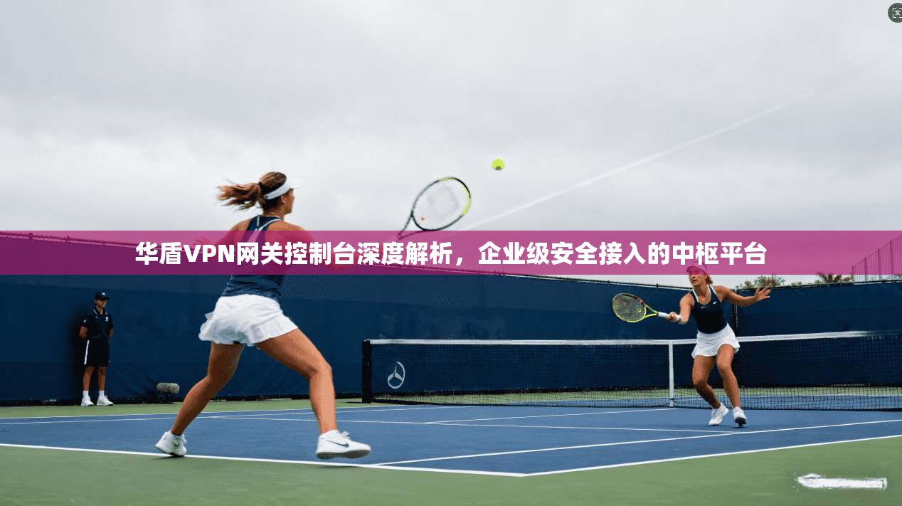 华盾VPN网关控制台深度解析，企业级安全接入的中枢平台