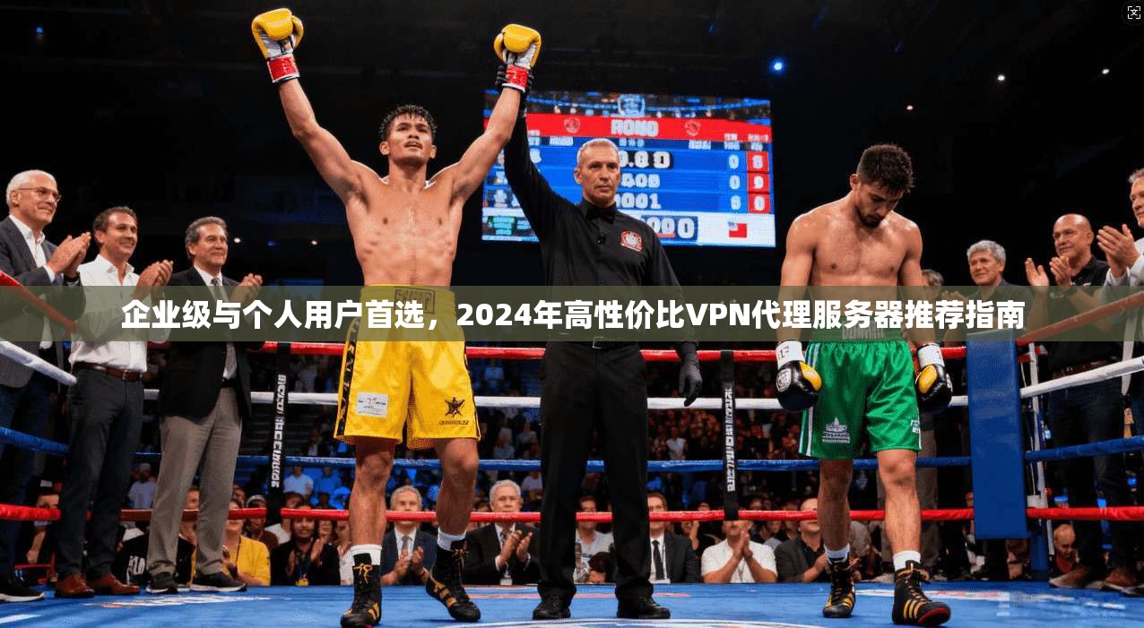 企业级与个人用户首选，2024年高性价比VPN代理服务器推荐指南