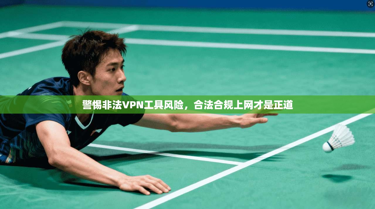 警惕非法VPN工具风险，合法合规上网才是正道