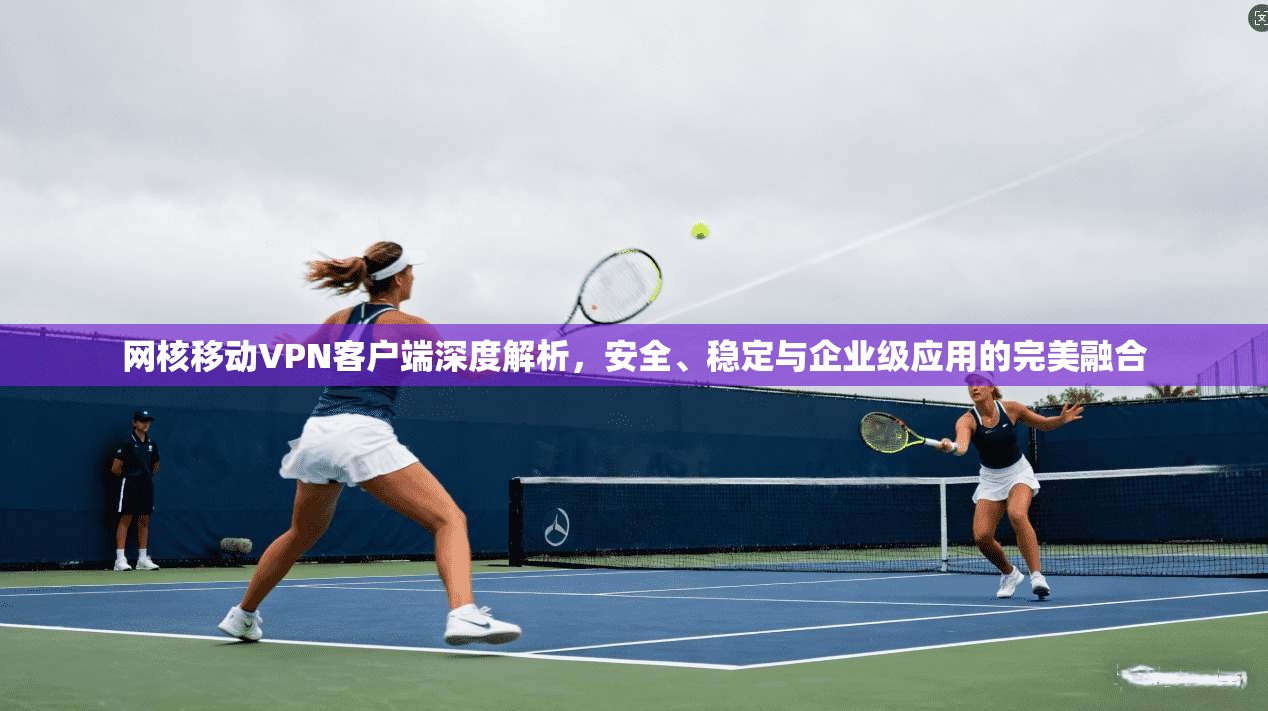 网核移动VPN客户端深度解析,安全、稳定与企业级应用的完美融合