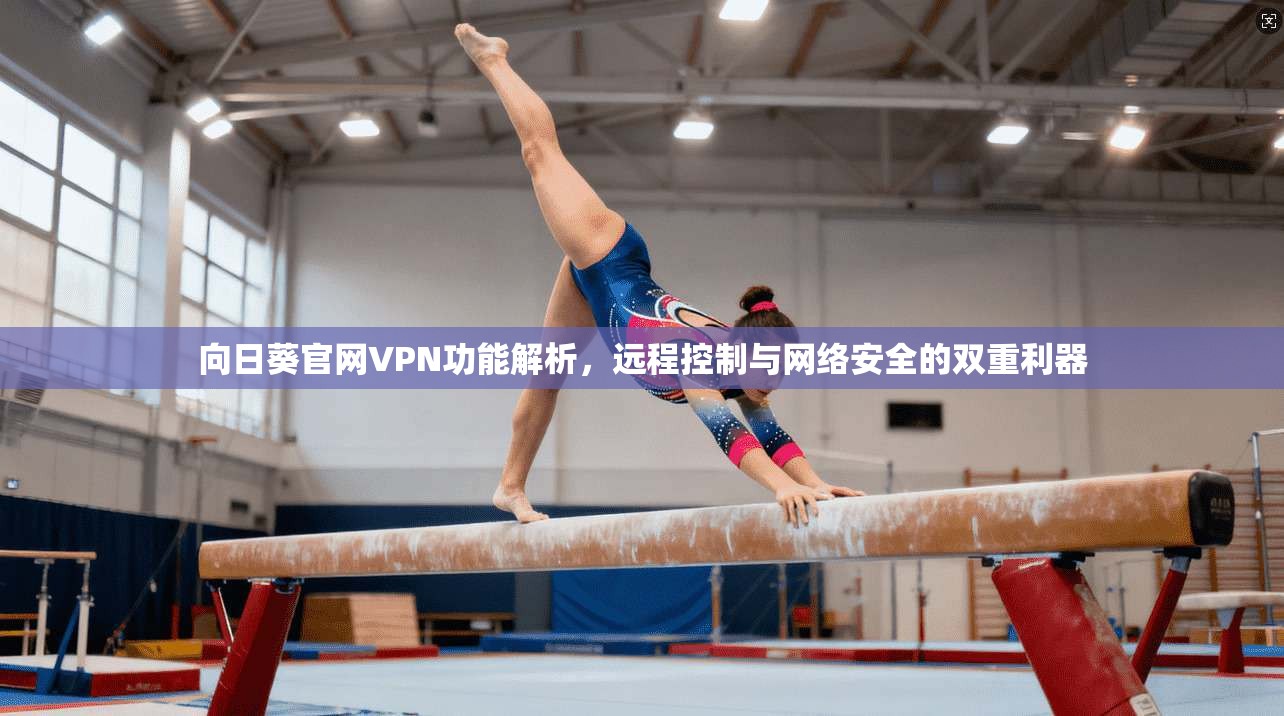 向日葵官网VPN功能解析,远程控制与网络安全的双重利器