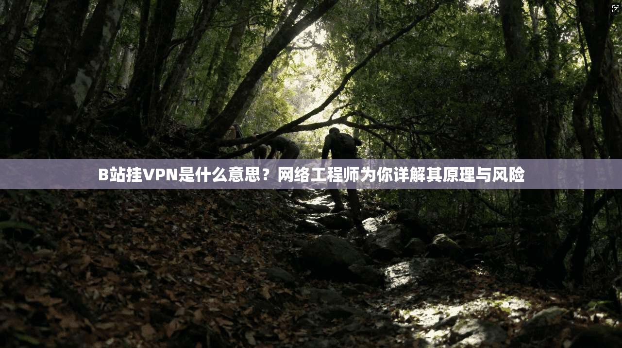 B站挂VPN是什么意思？网络工程师为你详解其原理与风险