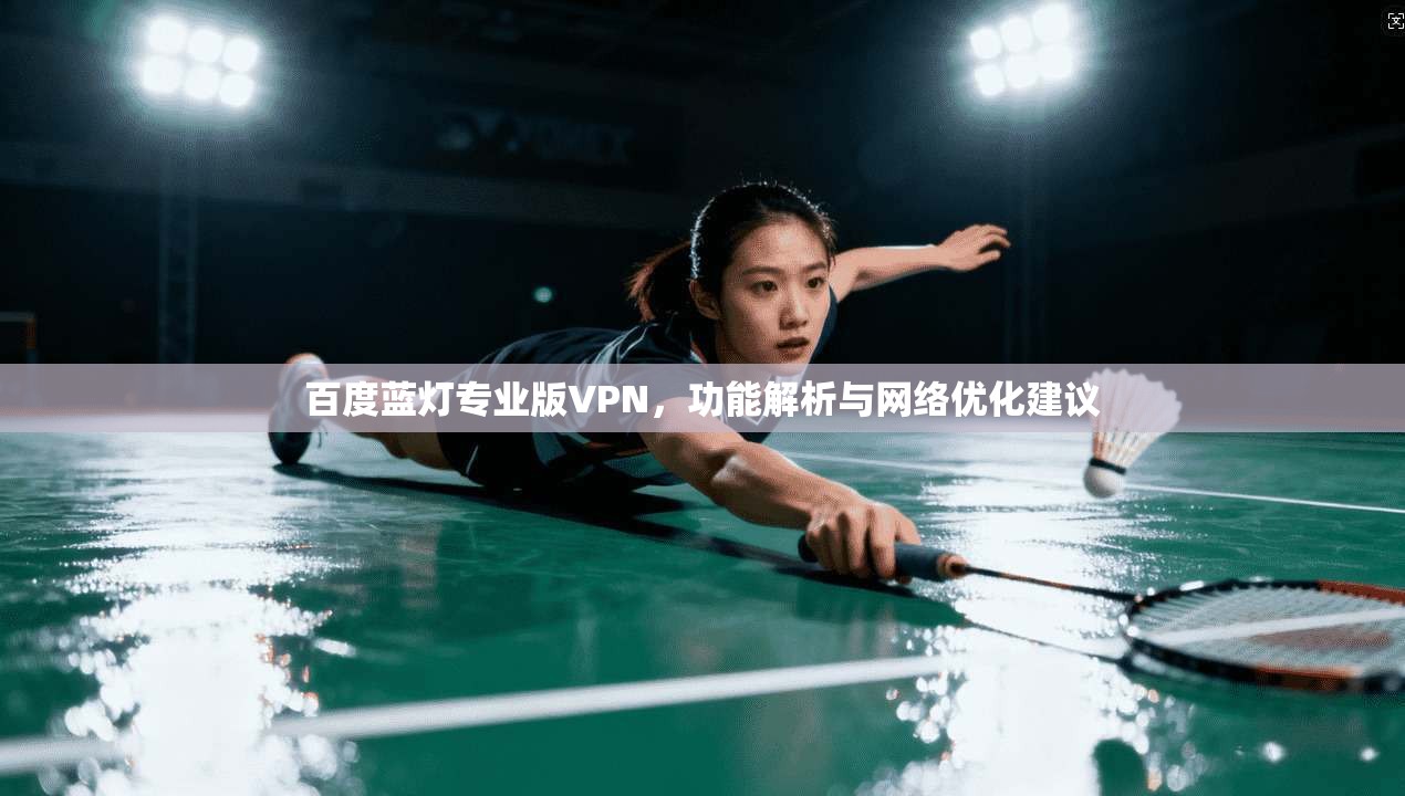百度蓝灯专业版VPN，功能解析与网络优化建议