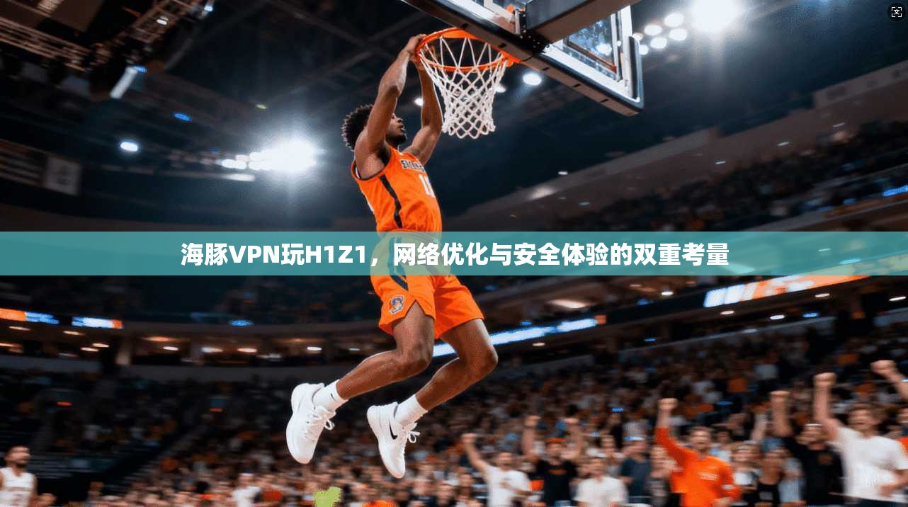 海豚VPN玩H1Z1，网络优化与安全体验的双重考量