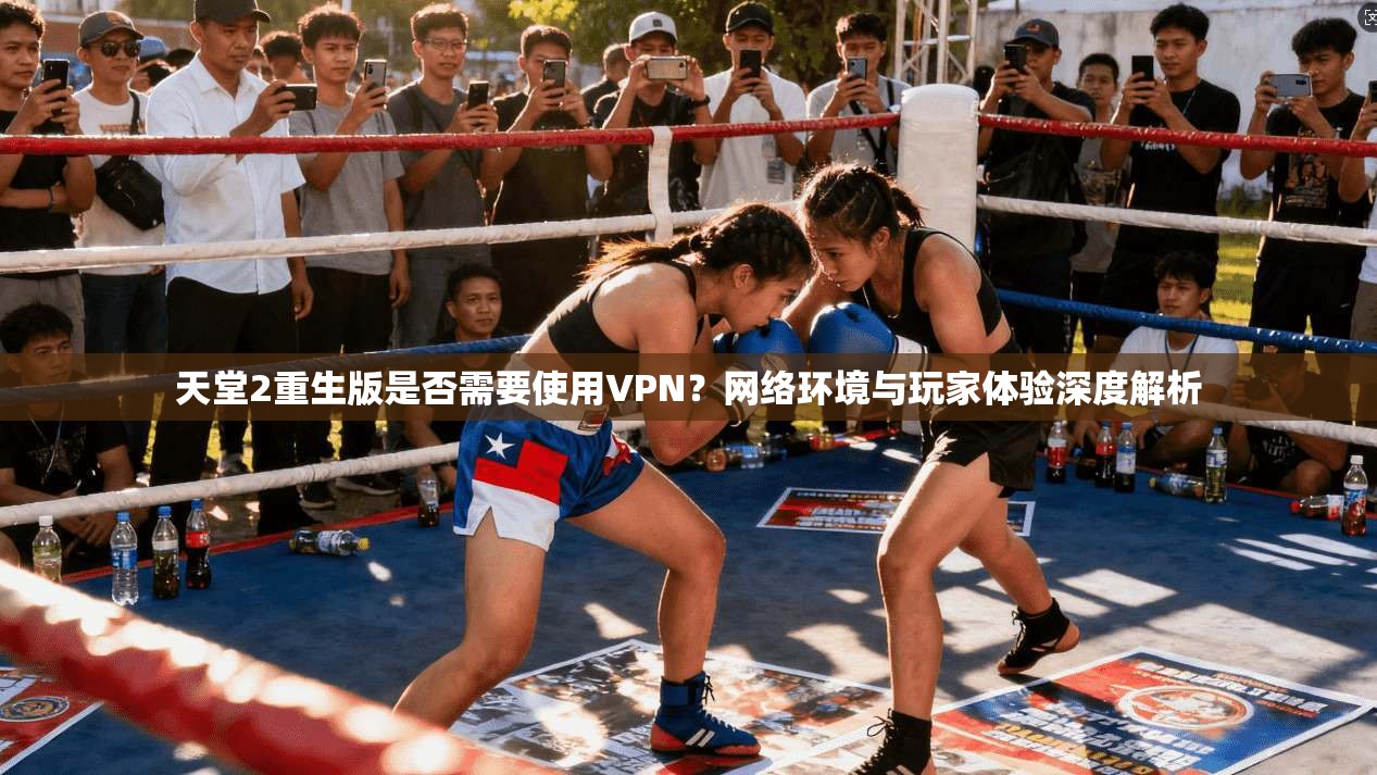 天堂2重生版是否需要使用VPN？网络环境与玩家体验深度解析