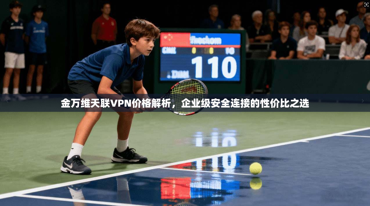 金万维天联VPN价格解析，企业级安全连接的性价比之选