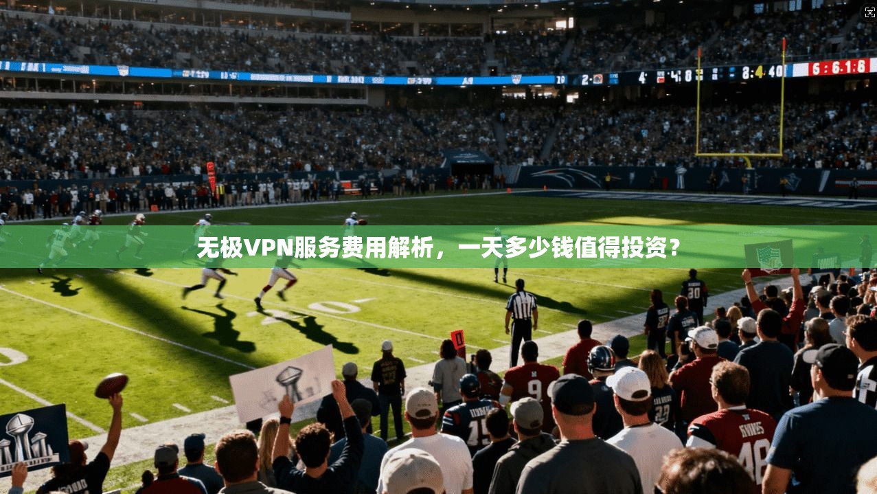 无极VPN服务费用解析，一天多少钱值得投资？