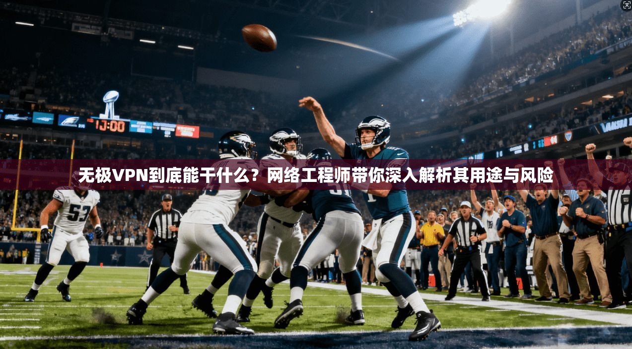 无极VPN到底能干什么？网络工程师带你深入解析其用途与风险