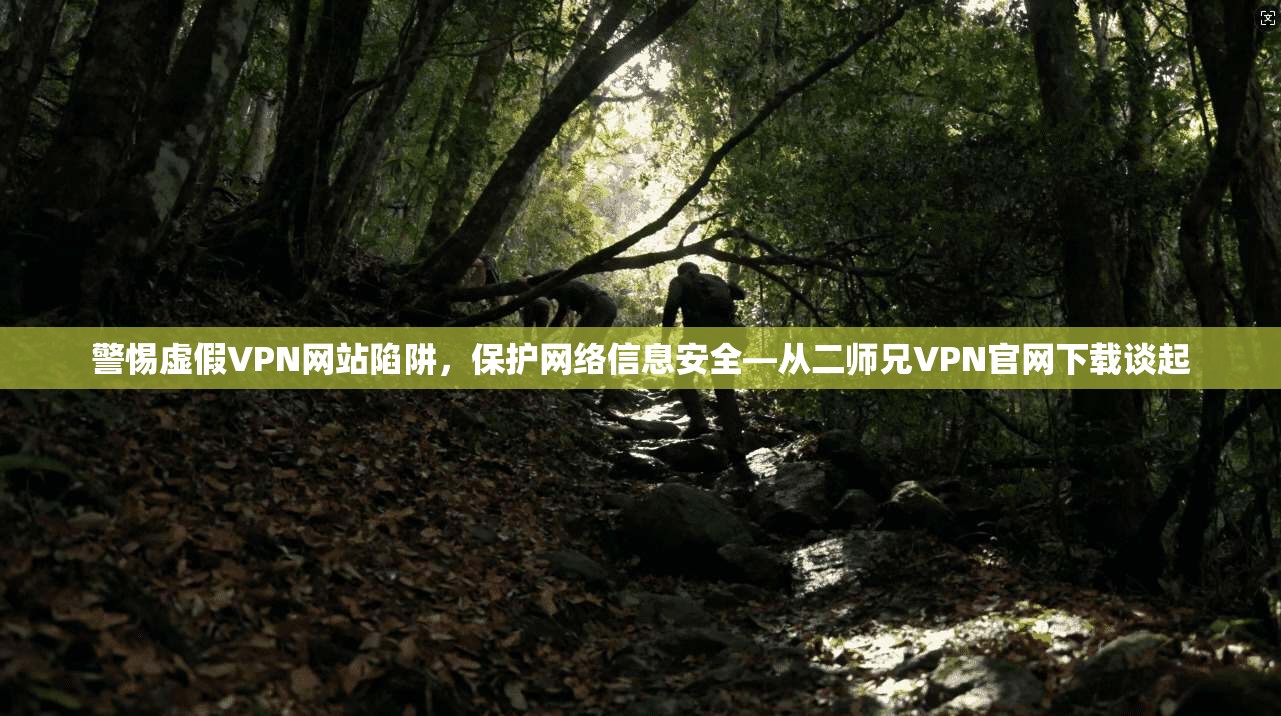 警惕虚假VPN网站陷阱，保护网络信息安全—从二师兄VPN官网下载谈起