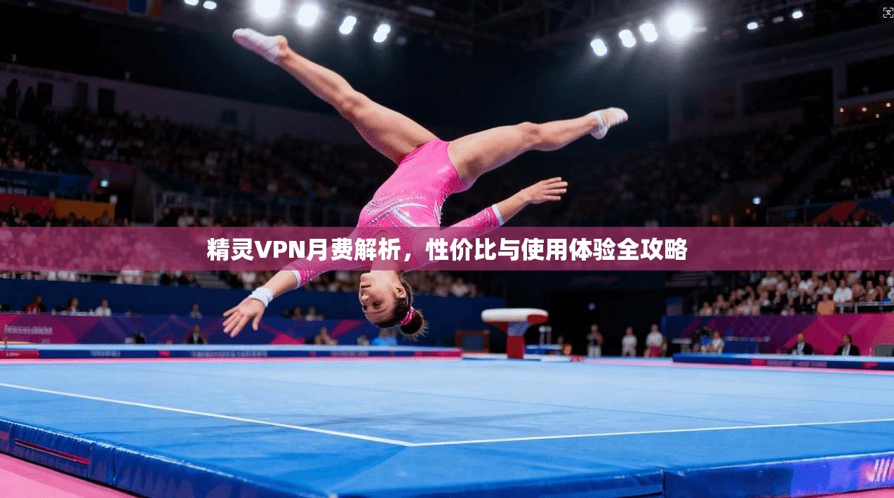 精灵VPN月费解析，性价比与使用体验全攻略