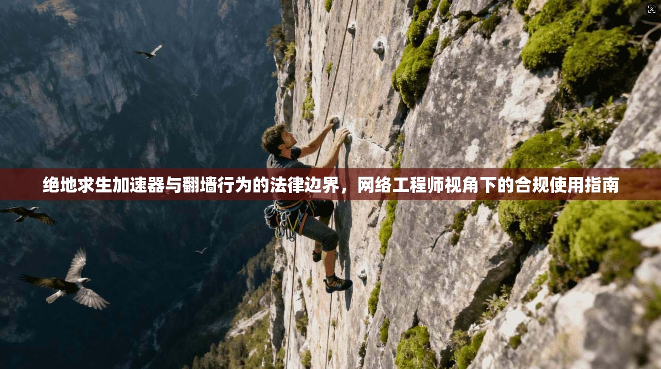 绝地求生加速器与翻墙行为的法律边界，网络工程师视角下的合规使用指南