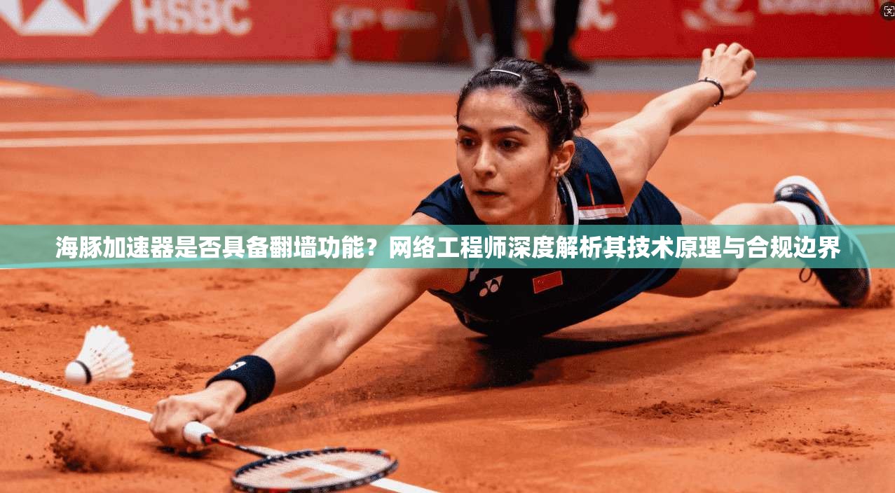 海豚加速器是否具备翻墙功能？网络工程师深度解析其技术原理与合规边界