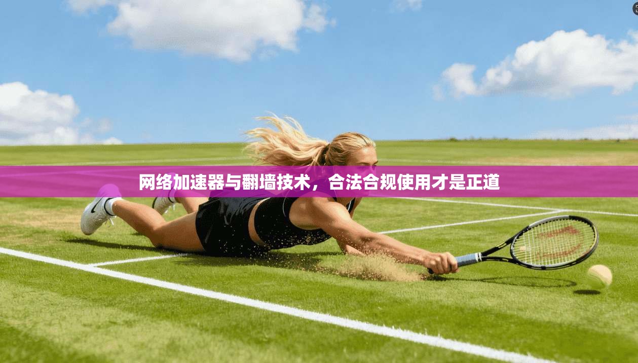 网络加速器与翻墙技术,合法合规使用才是正道