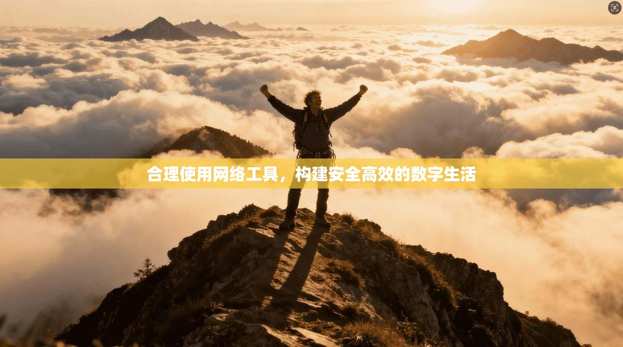 合理使用网络工具,构建安全高效的数字生活