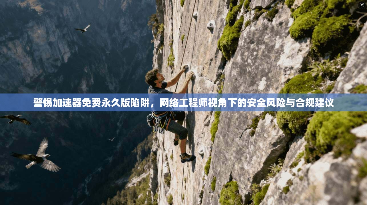 警惕加速器免费永久版陷阱，网络工程师视角下的安全风险与合规建议