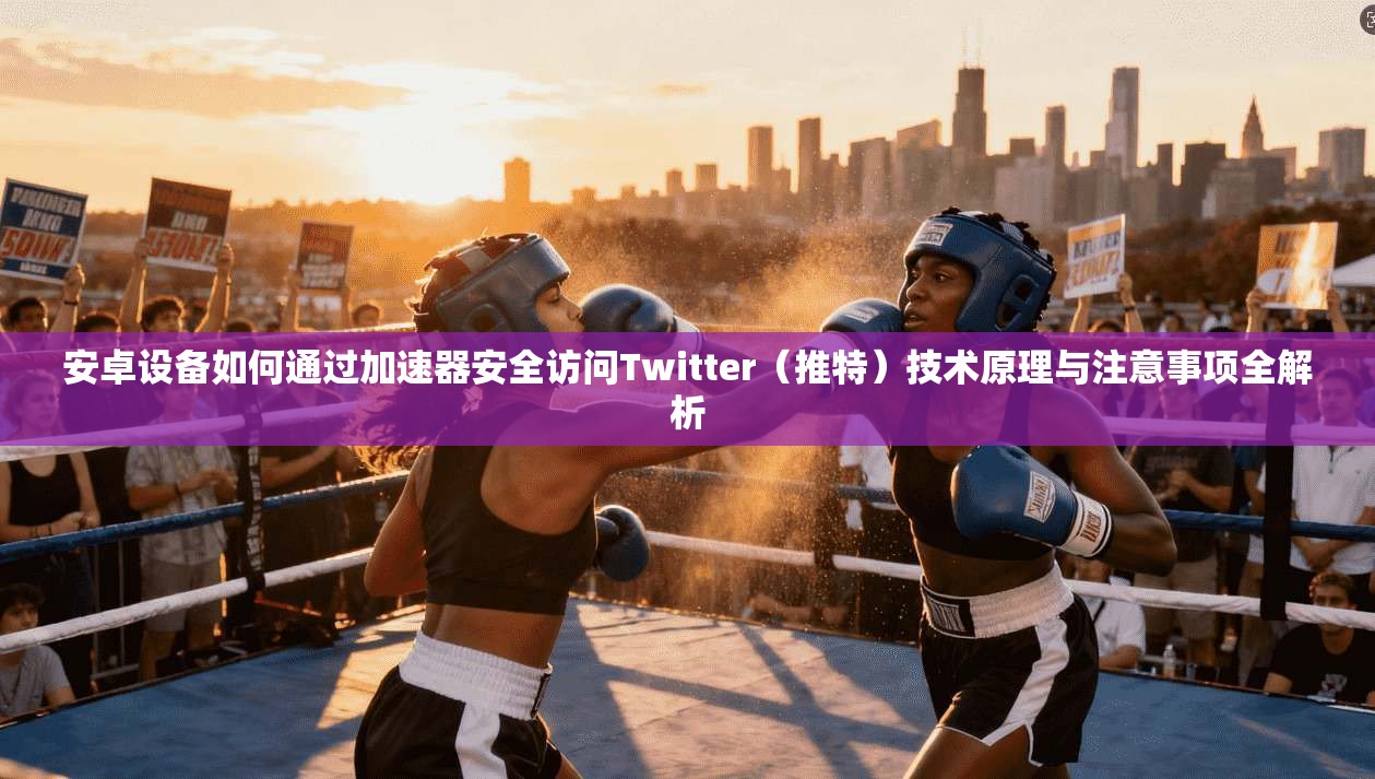 安卓设备如何通过加速器安全访问Twitter（推特）技术原理与注意事项全解析