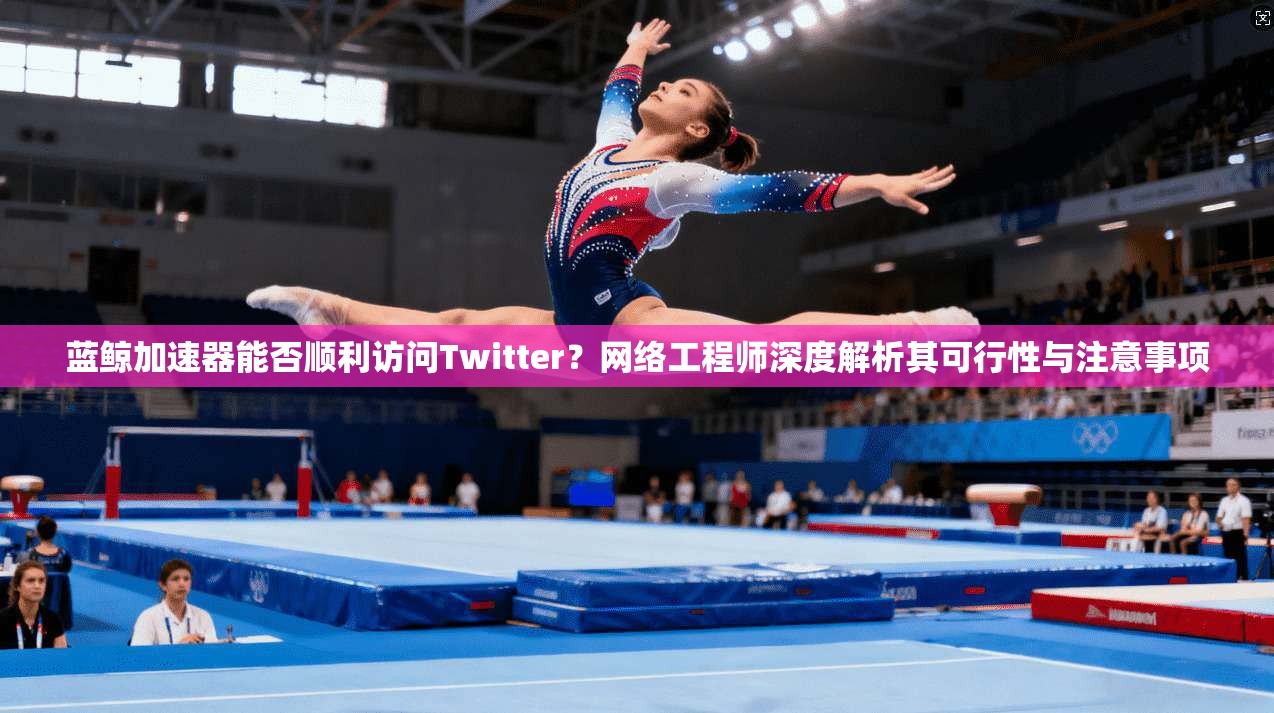 蓝鲸加速器能否顺利访问Twitter？网络工程师深度解析其可行性与注意事项