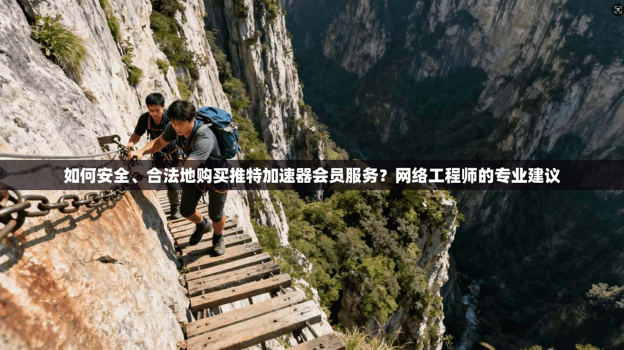 如何安全、合法地购买推特加速器会员服务?网络工程师的专业建议