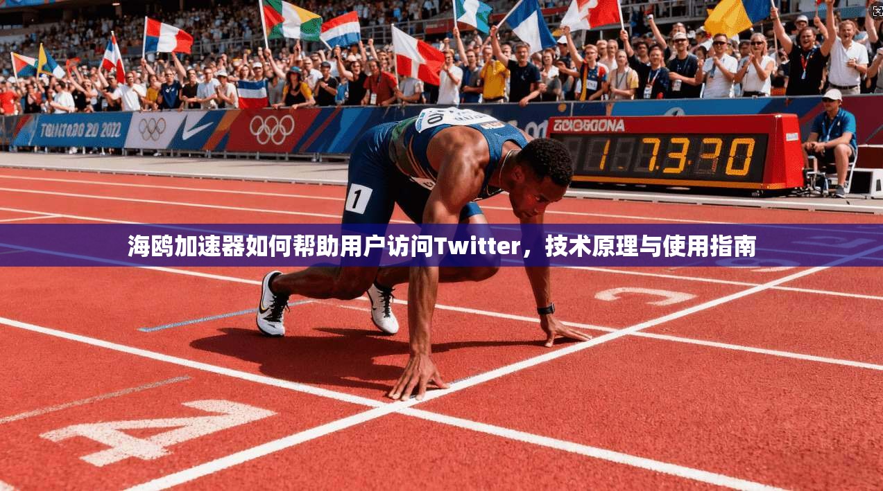海鸥加速器如何帮助用户访问Twitter,技术原理与使用指南