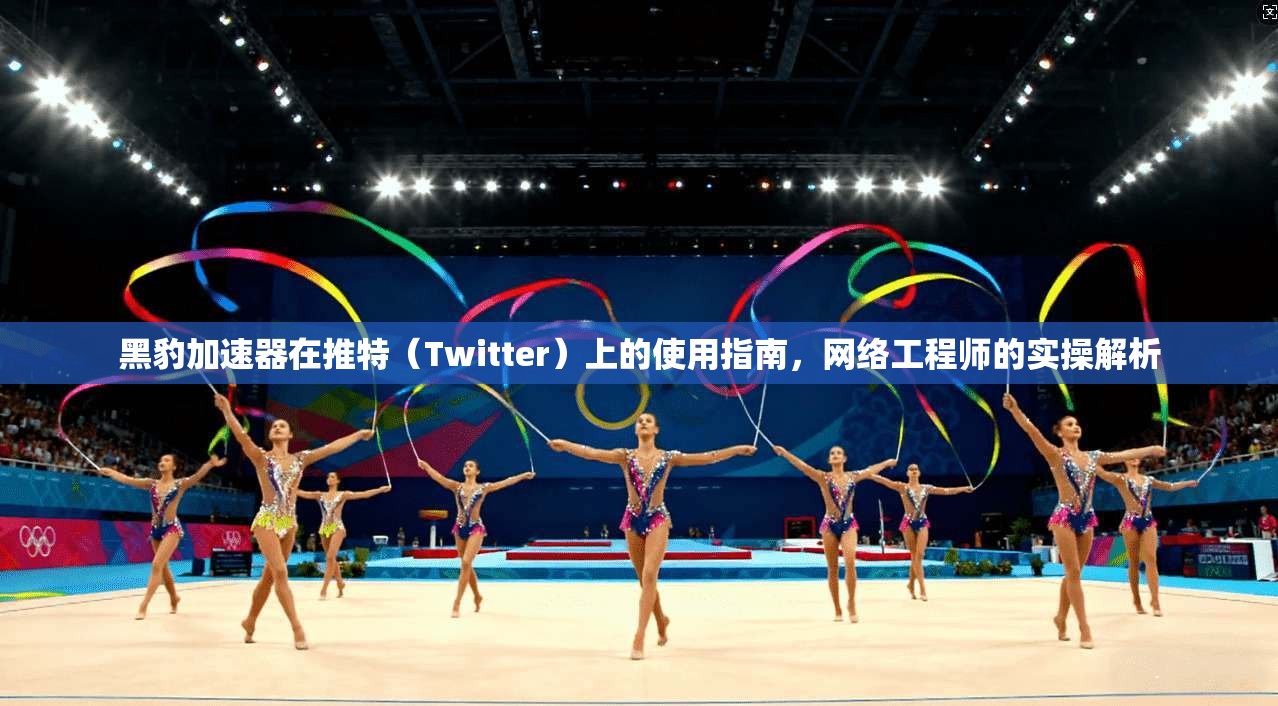 黑豹加速器在推特（Twitter）上的使用指南，网络工程师的实操解析