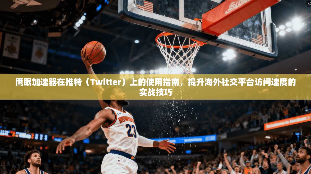 鹰眼加速器在推特(Twitter)上的使用指南,提升海外社交平台访问速度的实战技巧