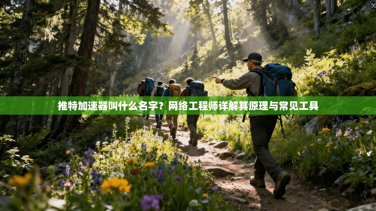 推特加速器叫什么名字?网络工程师详解其原理与常见工具