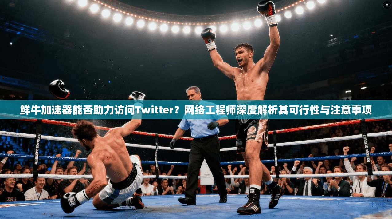 鲜牛加速器能否助力访问Twitter？网络工程师深度解析其可行性与注意事项