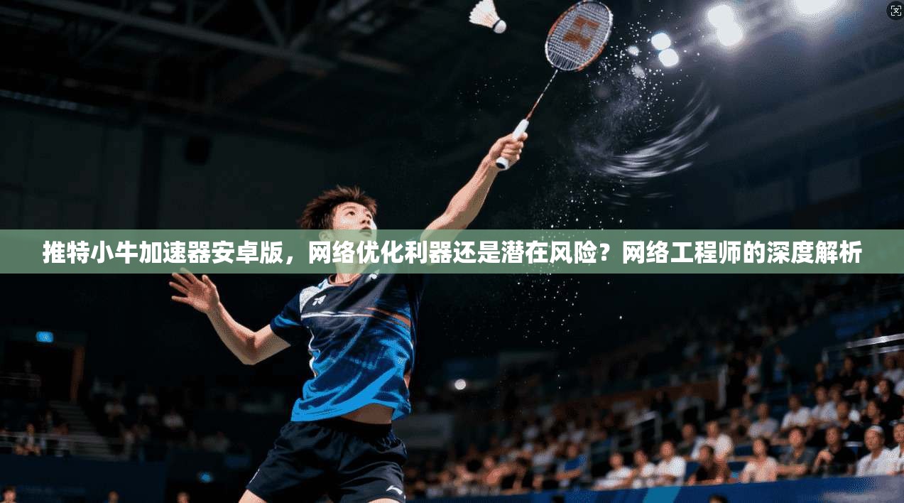 推特小牛加速器安卓版,网络优化利器还是潜在风险?网络工程师的深度解析