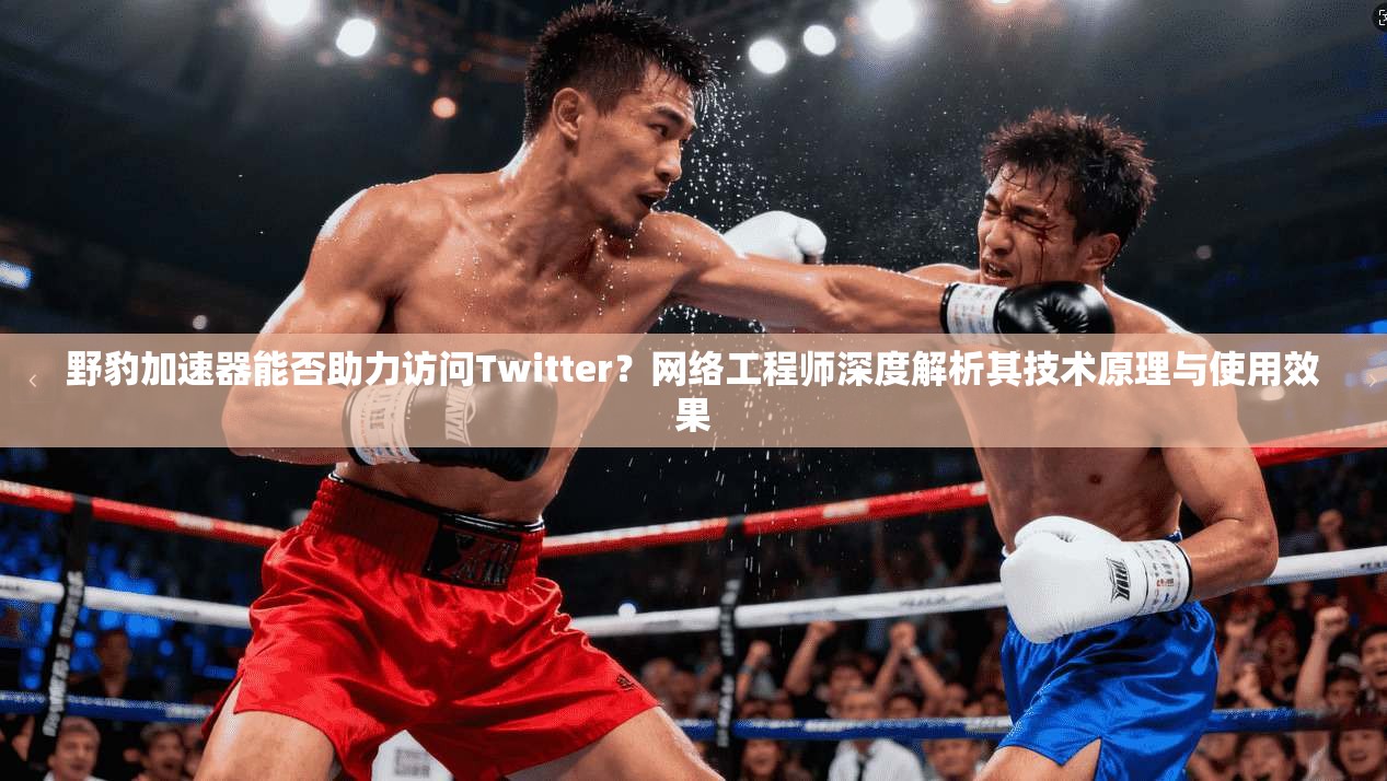 野豹加速器能否助力访问Twitter？网络工程师深度解析其技术原理与使用效果