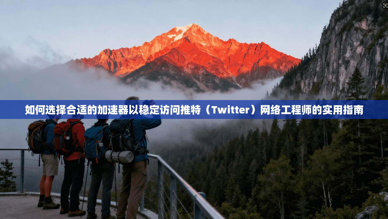 如何选择合适的加速器以稳定访问推特（Twitter）网络工程师的实用指南