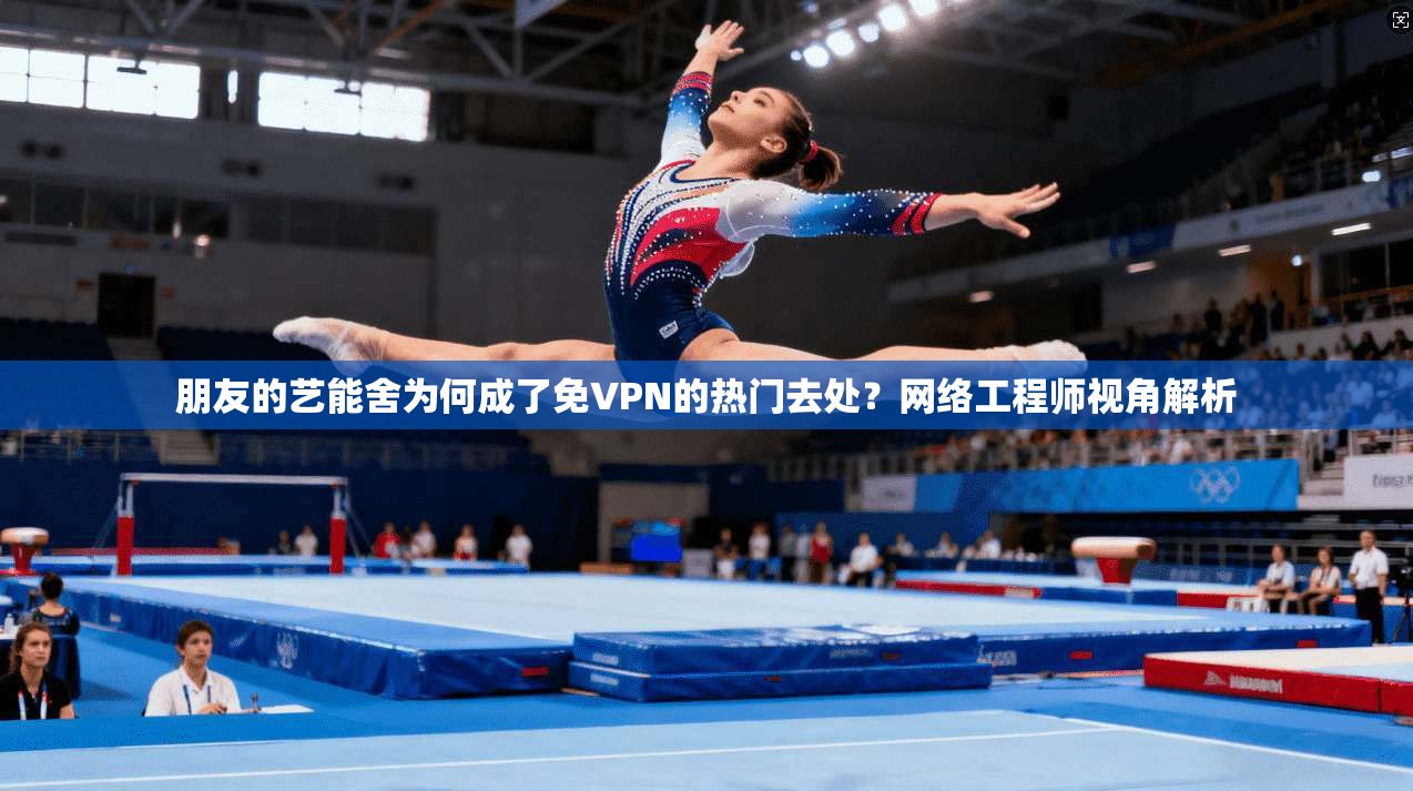 朋友的艺能舍为何成了免VPN的热门去处？网络工程师视角解析