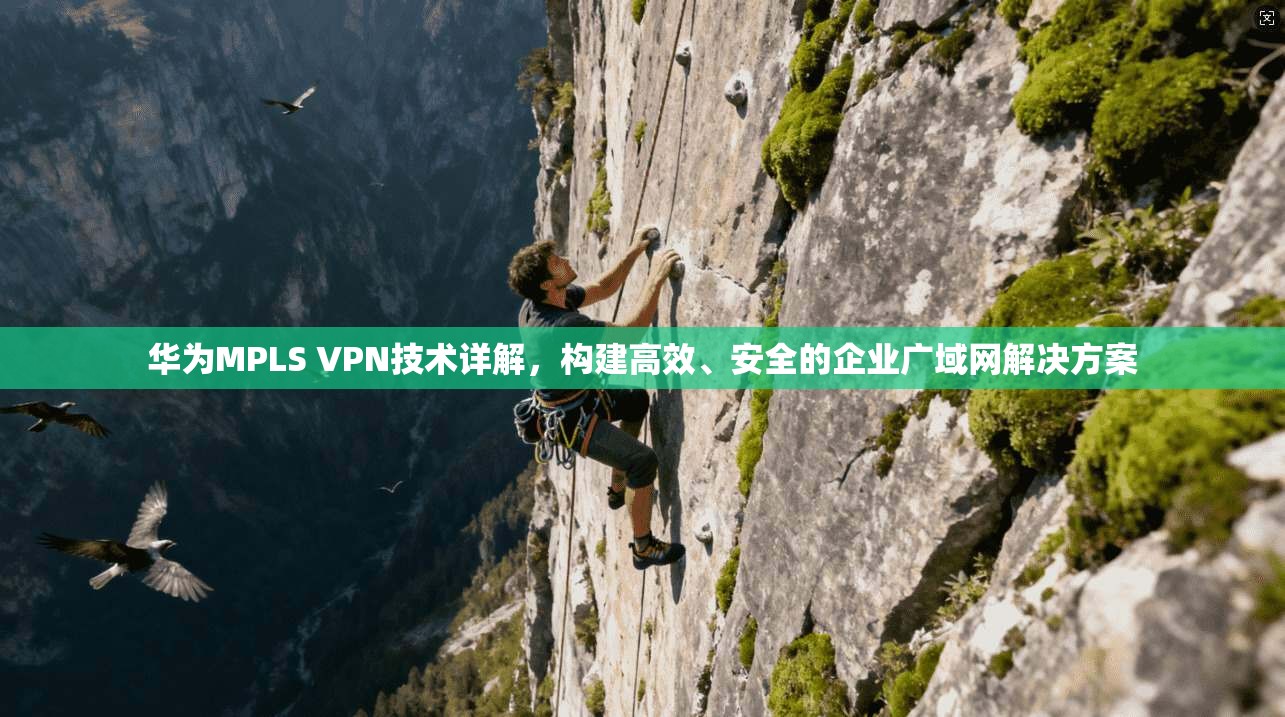 华为MPLS VPN技术详解，构建高效、安全的企业广域网解决方案