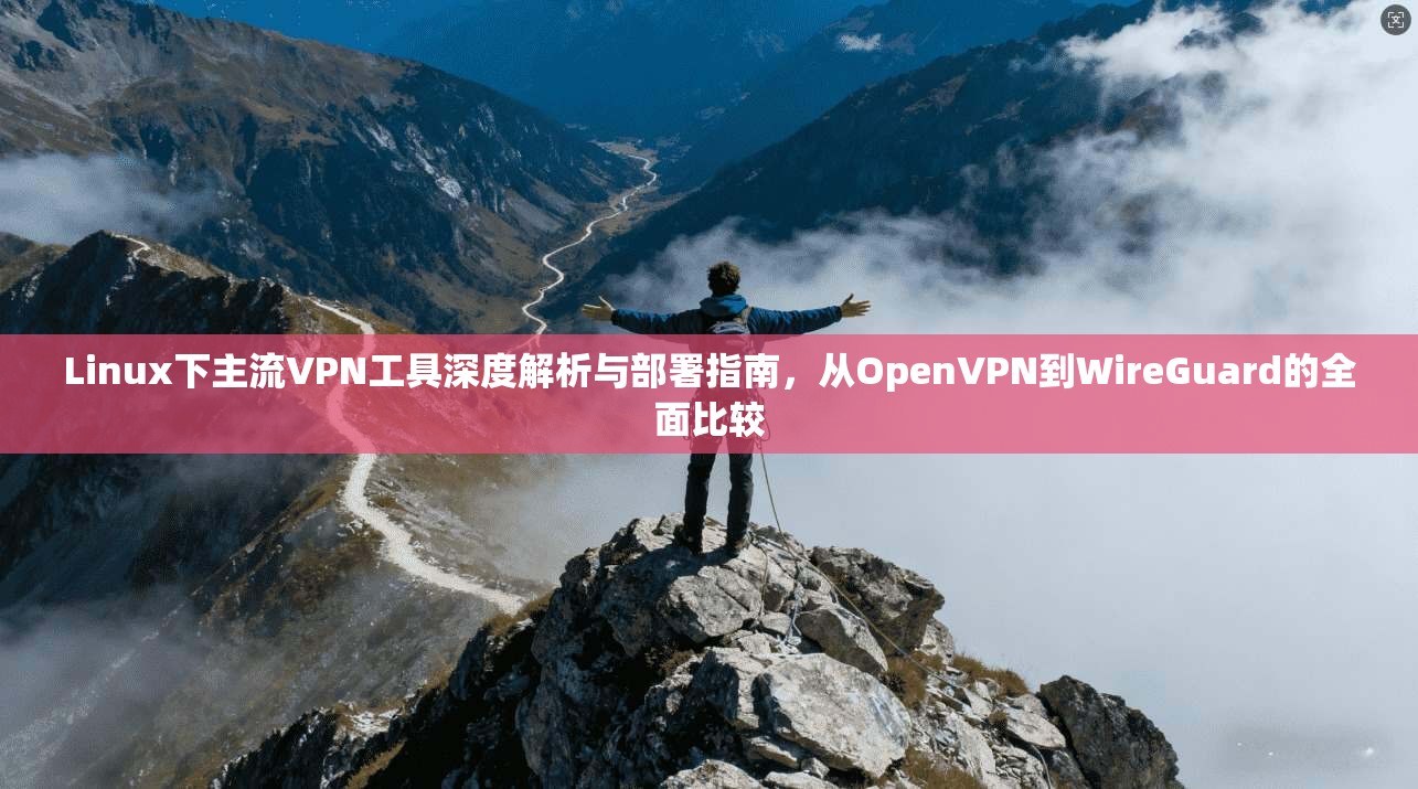 Linux下主流VPN工具深度解析与部署指南，从OpenVPN到WireGuard的全面比较