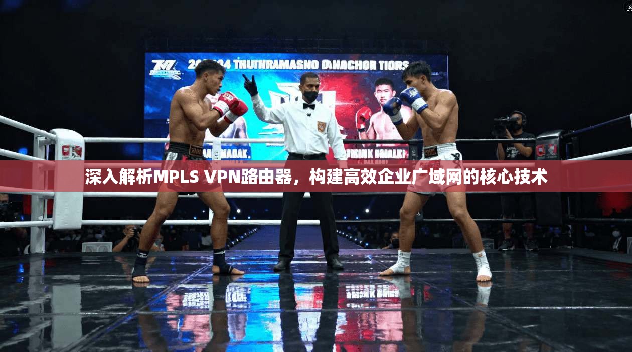 深入解析MPLS VPN路由器，构建高效企业广域网的核心技术